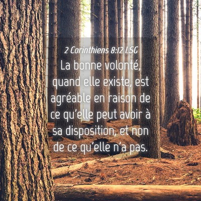 Picture 04 - 2 Corinthiens 8:12 LSG - La bonne volonté, quand elle existe, est - Bible Verse Picture