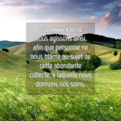 Picture 04 - 2 Corinthiens 8:20 LSG - Nous agissons ainsi, afin que personne ne nous - Bible Verse Picture