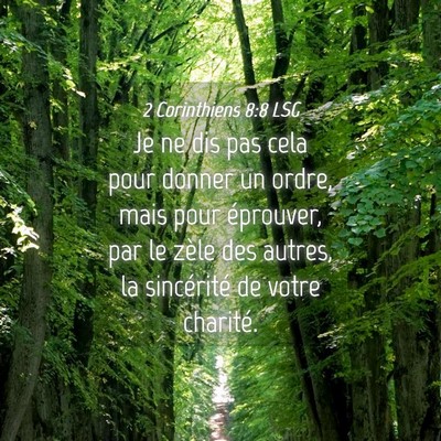 Picture 04 - 2 Corinthiens 8:8 LSG - Je ne dis pas cela pour donner un ordre, mais - Bible Verse Picture