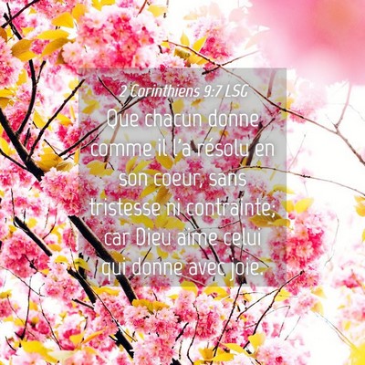 Picture 04 - 2 Corinthiens 9:7 LSG - Que chacun donne comme il l'a résolu en son - Bible Verse Picture