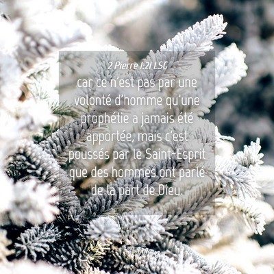 Picture 04 - 2 Pierre 1:21 LSG - car ce n'est pas par une volonté d'homme qu'une - Bible Verse Picture
