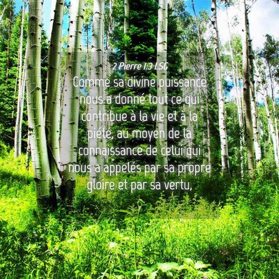 Picture 04 - 2 Pierre 1:3 LSG - Comme sa divine puissance nous a donné tout ce - Bible Verse Picture
