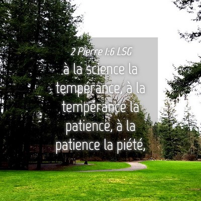Picture 04 - 2 Pierre 1:6 LSG - à la science la tempérance, à la tempérance - Bible Verse Picture