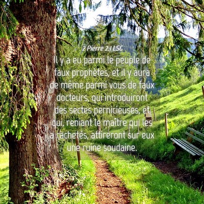 Picture 04 - 2 Pierre 2:1 LSG - Il y a eu parmi le peuple de faux prophètes, et - Bible Verse Picture