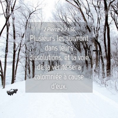 Picture 04 - 2 Pierre 2:2 LSG - Plusieurs les suivront dans leurs dissolutions, - Bible Verse Picture
