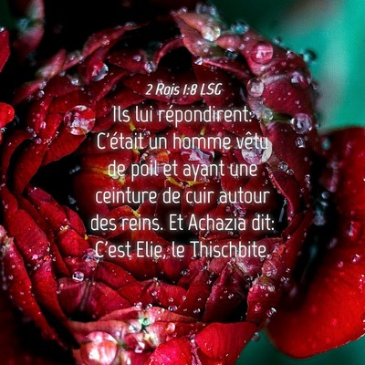 Picture 04 - 2 Rois 1:8 LSG - Ils lui répondirent: C'était un homme vêtu de - Bible Verse Picture
