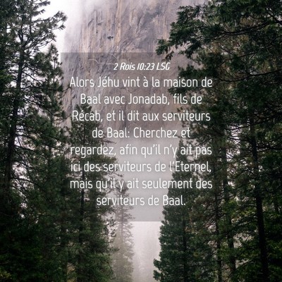 Picture 04 - 2 Rois 10:23 LSG - Alors Jéhu vint à la maison de Baal avec - Bible Verse Picture