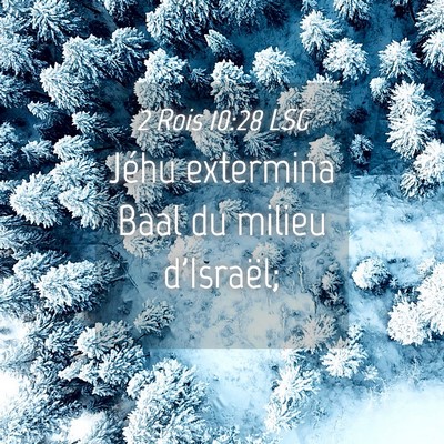 Picture 04 - 2 Rois 10:28 LSG - Jéhu extermina Baal du milieu - Bible Verse Picture