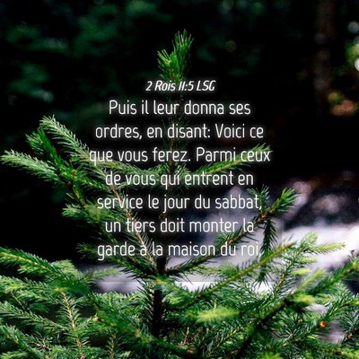 Picture 04 - 2 Rois 11:5 LSG - Puis il leur donna ses ordres, en disant: Voici - Bible Verse Picture