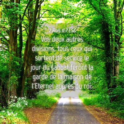 Picture 04 - 2 Rois 11:7 LSG - Vos deux autres divisions, tous ceux qui sortent - Bible Verse Picture