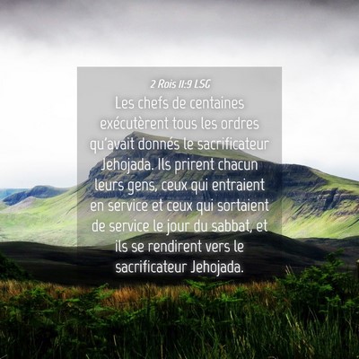 Picture 04 - 2 Rois 11:9 LSG - Les chefs de centaines exécutèrent tous les - Bible Verse Picture