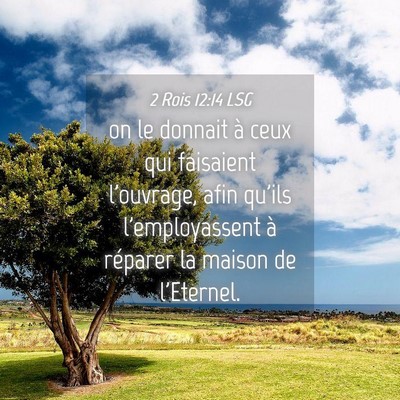 Picture 04 - 2 Rois 12:14 LSG - on le donnait à ceux qui faisaient l'ouvrage, - Bible Verse Picture