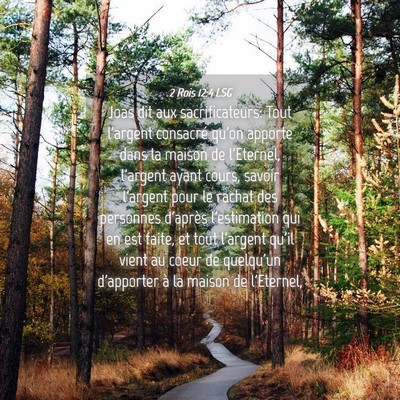 Picture 04 - 2 Rois 12:4 LSG - Joas dit aux sacrificateurs: Tout l'argent - Bible Verse Picture