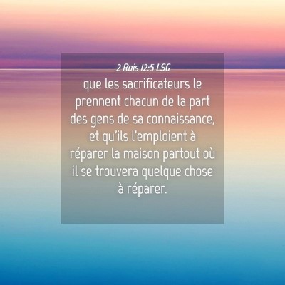 Picture 04 - 2 Rois 12:5 LSG - que les sacrificateurs le prennent chacun de la - Bible Verse Picture