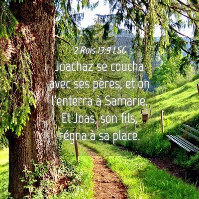 Picture 04 - 2 Rois 13:9 LSG - Joachaz se coucha avec ses pères, et on - Bible Verse Picture