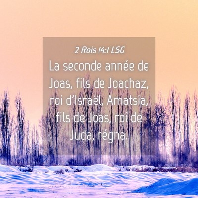 Picture 04 - 2 Rois 14:1 LSG - La seconde année de Joas, fils de Joachaz, roi - Bible Verse Picture