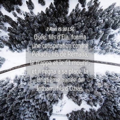 Picture 04 - 2 Rois 15:30 LSG - Osée, fils d'Ela, forma une conspiration contre - Bible Verse Picture