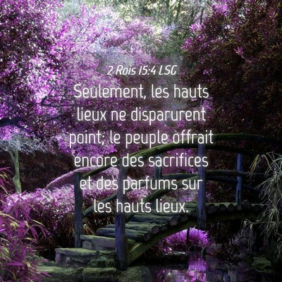 Picture 04 - 2 Rois 15:4 LSG - Seulement, les hauts lieux ne disparurent point; - Bible Verse Picture