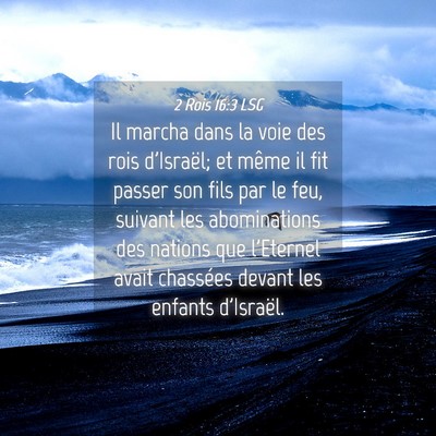 Picture 04 - 2 Rois 16:3 LSG - Il marcha dans la voie des rois d'Israël; et - Bible Verse Picture