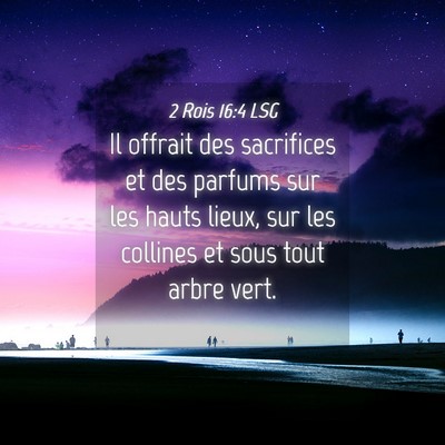Picture 04 - 2 Rois 16:4 LSG - Il offrait des sacrifices et des parfums sur les - Bible Verse Picture
