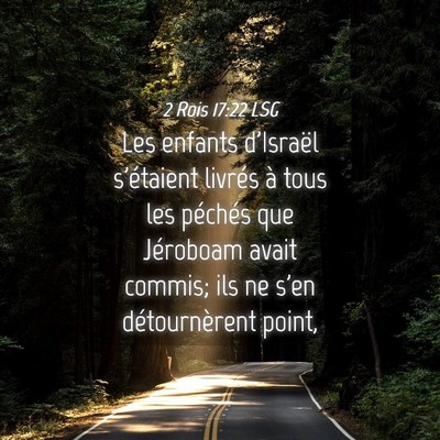 Picture 04 - 2 Rois 17:22 LSG - Les enfants d'Israël s'étaient livrés à tous - Bible Verse Picture