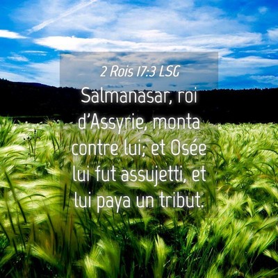 Picture 04 - 2 Rois 17:3 LSG - Salmanasar, roi d'Assyrie, monta contre lui; et - Bible Verse Picture