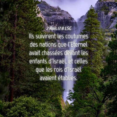 Picture 04 - 2 Rois 17:8 LSG - Ils suivirent les coutumes des nations que - Bible Verse Picture