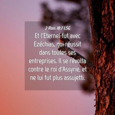 Picture 04 - 2 Rois 18:7 LSG - Et l'Eternel fut avec Ezéchias, qui réussit - Bible Verse Picture