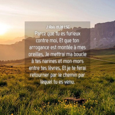 Picture 04 - 2 Rois 19:28 LSG - Parce que tu es furieux contre moi, Et que ton - Bible Verse Picture