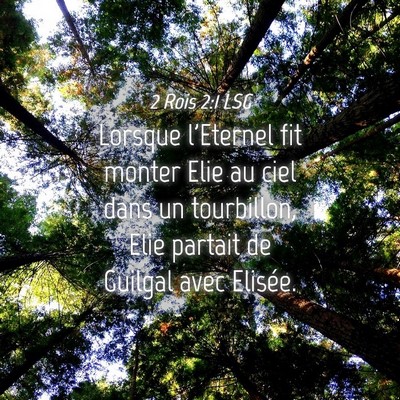Picture 04 - 2 Rois 2:1 LSG - Lorsque l'Eternel fit monter Elie au ciel dans un - Bible Verse Picture