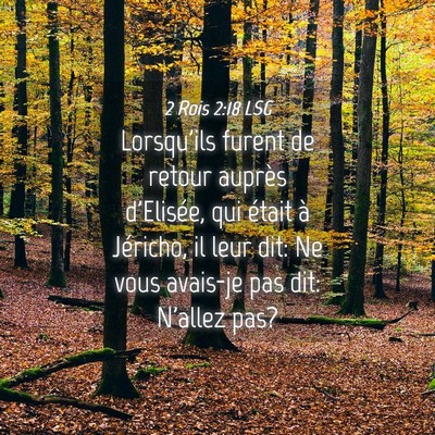 Picture 04 - 2 Rois 2:18 LSG - Lorsqu'ils furent de retour auprès d'Elisée, - Bible Verse Picture
