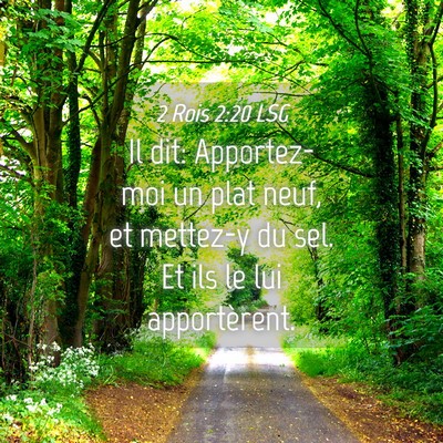 Picture 04 - 2 Rois 2:20 LSG - Il dit: Apportez-moi un plat neuf, et mettez-y du - Bible Verse Picture