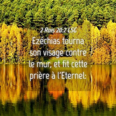 Picture 04 - 2 Rois 20:2 LSG - Ezéchias tourna son visage contre le mur, et fit - Bible Verse Picture