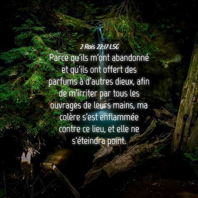Picture 04 - 2 Rois 22:17 LSG - Parce qu'ils m'ont abandonné et qu'ils ont - Bible Verse Picture