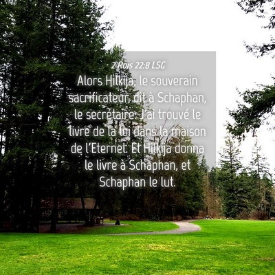 Picture 04 - 2 Rois 22:8 LSG - Alors Hilkija, le souverain sacrificateur, dit à - Bible Verse Picture