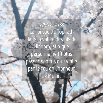 Picture 04 - 2 Rois 23:10 LSG - Le roi souilla Topheth dans la vallée des fils - Bible Verse Picture