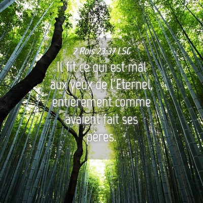 Picture 04 - 2 Rois 23:37 LSG - Il fit ce qui est mal aux yeux de l'Eternel, - Bible Verse Picture