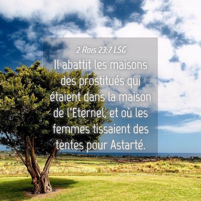 Picture 04 - 2 Rois 23:7 LSG - Il abattit les maisons des prostitués qui - Bible Verse Picture