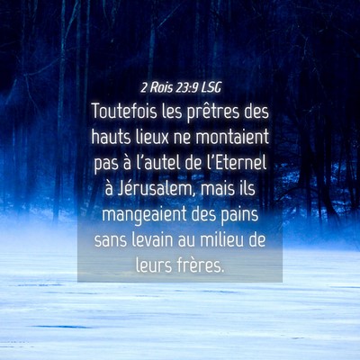 Picture 04 - 2 Rois 23:9 LSG - Toutefois les prêtres des hauts lieux ne - Bible Verse Picture