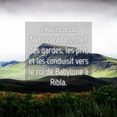 Picture 04 - 2 Rois 25:20 LSG - Nebuzaradan, chef des gardes, les prit, et les - Bible Verse Picture