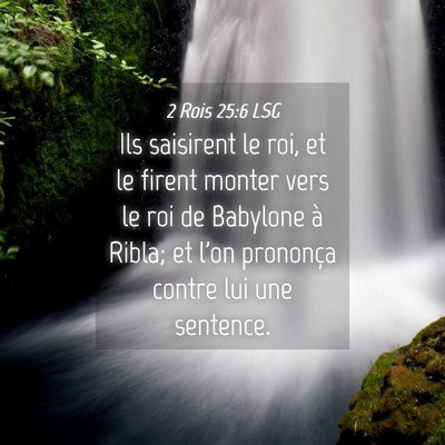 Picture 04 - 2 Rois 25:6 LSG - Ils saisirent le roi, et le firent monter vers le - Bible Verse Picture