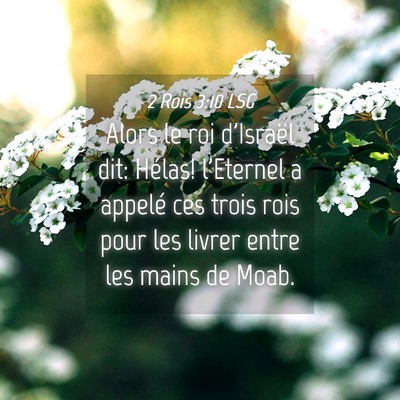 Picture 04 - 2 Rois 3:10 LSG - Alors le roi d'Israël dit: Hélas! l'Eternel a - Bible Verse Picture