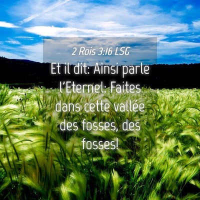 Picture 04 - 2 Rois 3:16 LSG - Et il dit: Ainsi parle l'Eternel: Faites dans - Bible Verse Picture