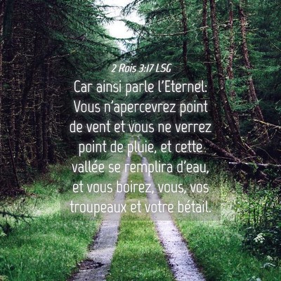 Picture 04 - 2 Rois 3:17 LSG - Car ainsi parle l'Eternel: Vous n'apercevrez - Bible Verse Picture