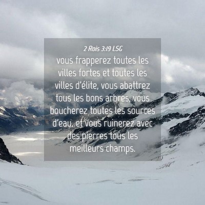 Picture 04 - 2 Rois 3:19 LSG - vous frapperez toutes les villes fortes et toutes - Bible Verse Picture