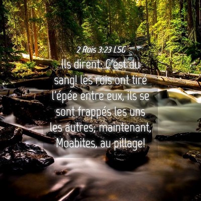 Picture 04 - 2 Rois 3:23 LSG - Ils dirent: C'est du sang! les rois ont tiré - Bible Verse Picture