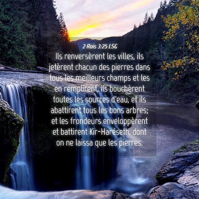 Picture 04 - 2 Rois 3:25 LSG - Ils renversèrent les villes, ils jetèrent - Bible Verse Picture