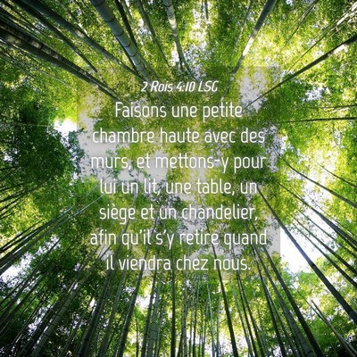 Picture 04 - 2 Rois 4:10 LSG - Faisons une petite chambre haute avec des murs, - Bible Verse Picture