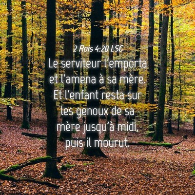 Picture 04 - 2 Rois 4:20 LSG - Le serviteur l'emporta et l'amena à sa mère. Et - Bible Verse Picture