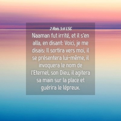 Picture 04 - 2 Rois 5:11 LSG - Naaman fut irrité, et il s'en alla, en disant: - Bible Verse Picture